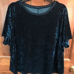 Ava & Vic Blue Velvet Top 3X